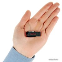 128 Gb SanDisk Cruzer Blade (SDCZ50-128G-B35), Black, USB2.0