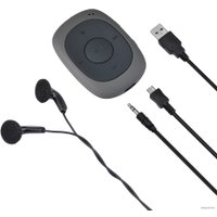 MP3 Player Flash Digma C2L - 4Gb Gray