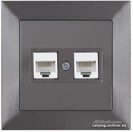 Электроустановочные изделия и аксессуары Розетка компьютерная 2xRJ45 (Cat5e, скрытая) дымчатая, DARIA, MUTLUSAN ((2xRJ 45) 8-pin, соединения типа 568A или 568B) 2120 138 0195