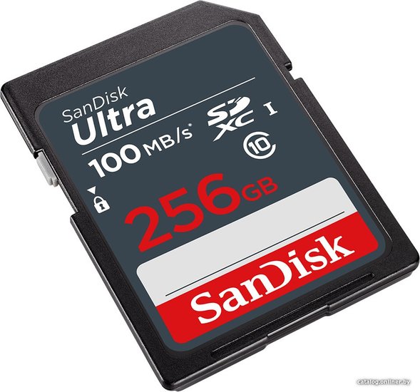 SDXC 256 GB SanDisk Ultra SDSDUNR-256G-GN3IN