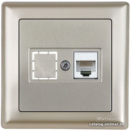 Электроустановочные изделия и аксессуары Розетка компьютерная 1xRJ45 (Cat5e, скрытая, с рамкой) титан, DARIA, MUTLUSAN ((RJ 45)   8-pin, соединения типа 568A или 568B) 2120 136 0183